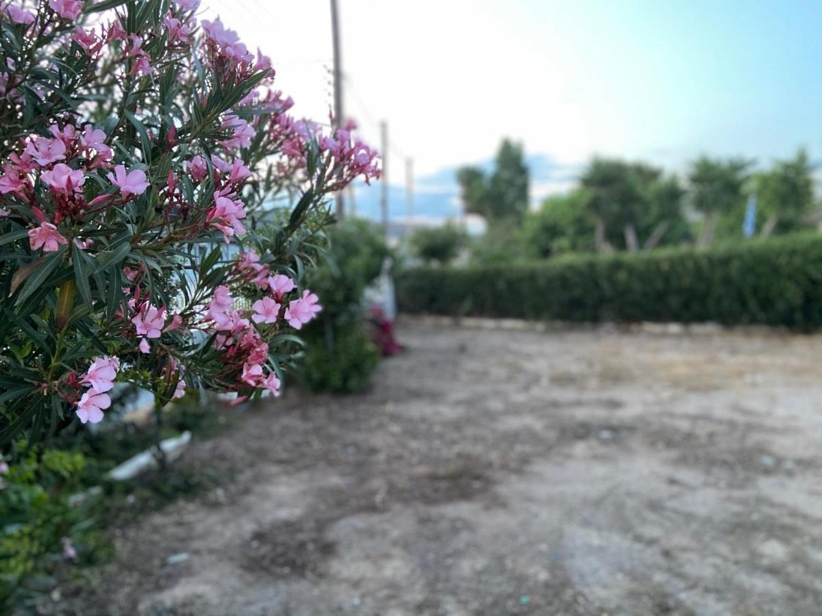 Athens Riviera: 2 Bed / 3' Walk From The Beach Agia Marina  Buitenkant foto